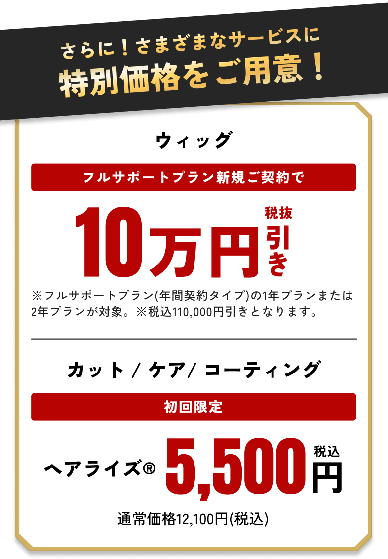 さらに！さまざまなサービスに特別価格をご用意！ 「ウィッグ」フルサポートプラン新規ご契約で10万円引き（税抜） ※フルサポートプラン(年間契約タイプ)の1年プランまたは2年プランが対象。※税込110,000円引きとなります。「カット / ケア/ コーティング」初回限定 ヘアライズ5,500円（税込）通常価格12,100円(税込)